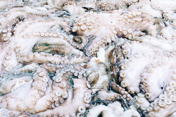 Fresh chilled seafood sold at the market. Fresh prawns. 