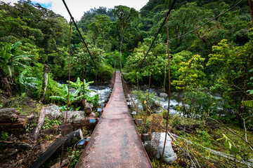 Jungle path to the Lost Waterfalls in Boquete, Panama.