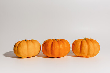 Fresh ripe orange pumpkins on white background. Space for text mockup Halloween concept