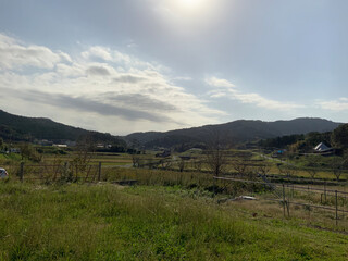 Obraz premium landscape with mountains