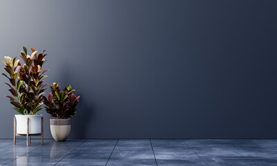 Dark wall empty room with plants on a floor.