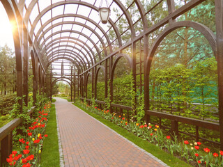 Landscape design. Park architecture. Summer landscape. High quality photo