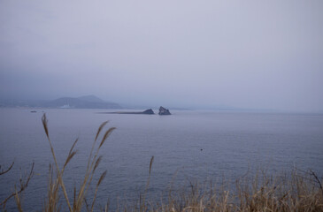 sea in jeju island