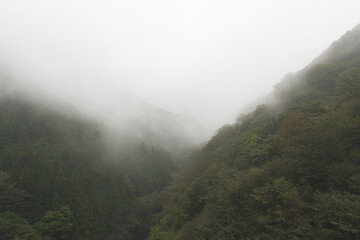 山間部　霧　濃霧