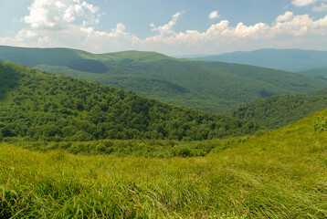Naklejka premium Green mountain hills, Bieszczady Mountains, Poland