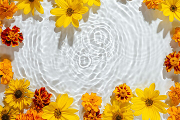 Water ripple with yellow  flowers. Trendy  background for cosmetic product presentation. Artistic concept. Copy space