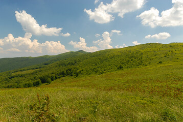 Fototapeta na wymiar Green mountain hills, Bieszczady Mountains, Poland