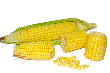 Ear of corn with green leaves . Fresh corn on cob isolated on white background.