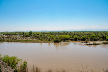 Natural river and green vegetation