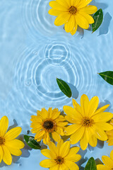 Yellow  flowers on water surface. Beautiful water ripple background for product presentation. Copy space