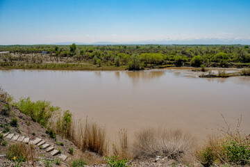 Natural river and green vegetation