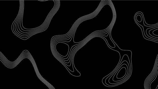 Topographic Line loop Background. Contour line texture.