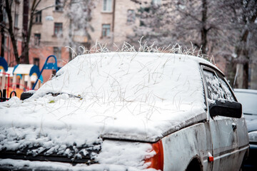 The car is covered with snow and a mysterious hairstyle from the hairdresser's nature from the roots of fallen leaves