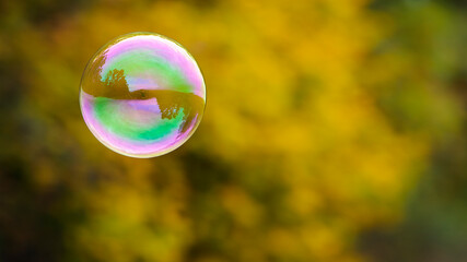 multicolored soap bubble on a yellow autumn background. Soap bubble. Isolated on yellow, autumn colors. reflex, detailed, close-up. multi-colored ball flies. holiday concept, childhood
