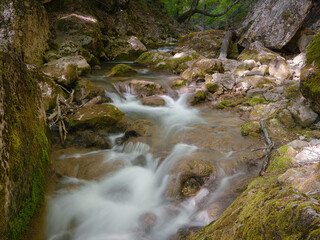 Fototapeta premium small river deep in the green woods. wonderful springtime scenery of mountains countryside. clear water among forest and rocky shore. wooden fence on the river bank.