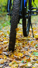 front wheel of a mountain bike. Mountain bike. stands in the forest, in dry autumn leaves. concept of cycling, repair or breakage, sports, outdoor activities. bike on trail, front wheel in focus.