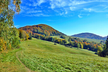 Autumn mountains landscape. Trees on a  slope  with dry grass and wooded mountains under blue sky with white clouds, Low Beskid (Beskid Niski) - obrazy, fototapety, plakaty