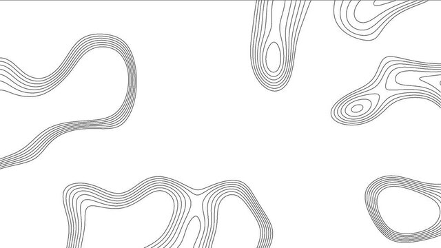 Topographic Line loop Background. Contour line texture.