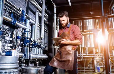 Young male brewer in leather apron supervising the process of beer fermentation at modern brewery factory