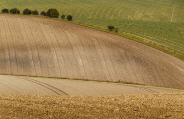 ploughed fields