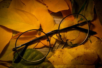 Circular metal glasses on top of the wooden table covered in yellow autumn leaves. Mystic old retro explorer glasses. Scientist glasses. 