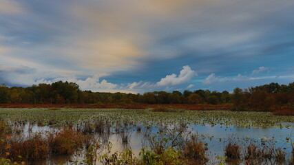 landscape with lake