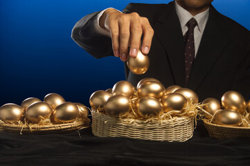 smart businesses man allocate golden eggs into many baskets, do not put all eggs in one basket ...