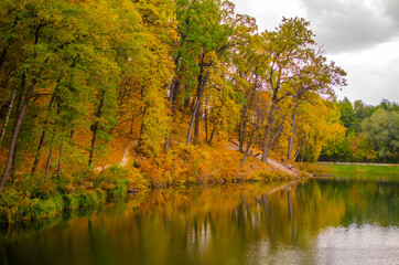 Fototapeta premium Picturesque autumn park overlooking the pond