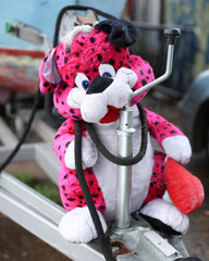 Abused Animal Cuddly Toy tied Up Outside