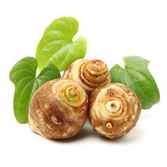 Taro on a white background