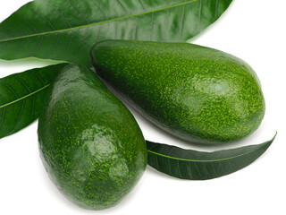 Avocado with avocado leaves isolated on white background.