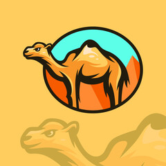 Desert Camel Illustration