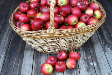 Fototapeta na wymiar harvest of red apples in a basket
