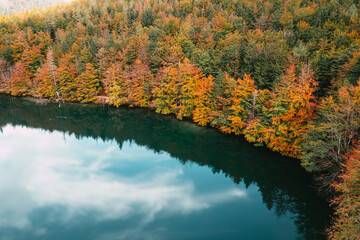 Vorderer Langbathsee im Herbst Drohnenaufnahme
