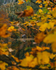 Hütte am hinteren Langbathsee im Herbst