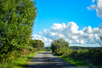 Road in Galloway 