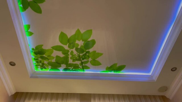 Suspended stretch ceiling with a pattern and LED lighting in the room.