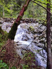 Wasserfall im Wald