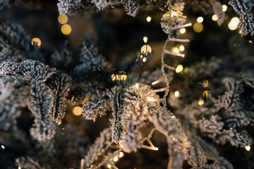 Branches and lights of the New Year tree close-up