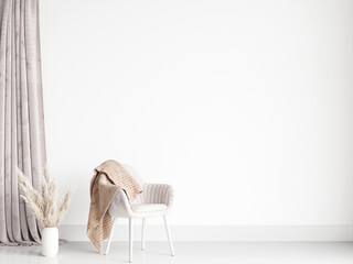 blank wall mockup, modern interior room with empty wall and pampas grass
