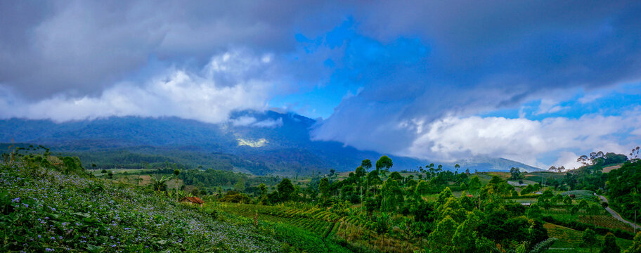Sadarehe panorama