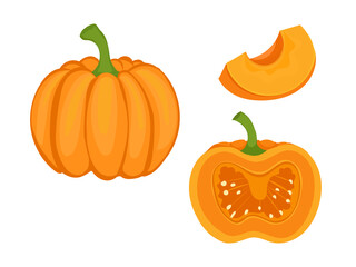 set of pumpkin pumpkins vector Halloween yellow-orange pumpkins slice piece isolate draw