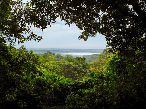 Situ Sedong lake 