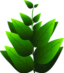 Leaves Texture, Nature background, object, Art, Design,Illustration, Outdoor, Organic