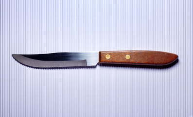  Messer mit Holzgriff 