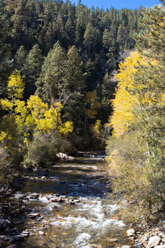 The Pecos River races through fall color at New Mexico's Pecos River Canyon State Park in the Sangre de Cristo Mountains