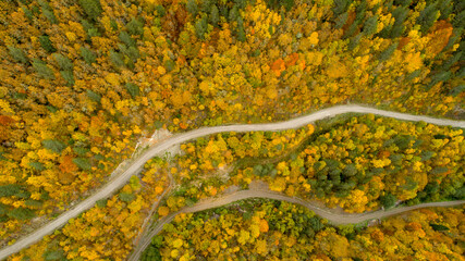 Aerial view of mountain road in beautiful forest at sunset in autumn. Top view from drone of winding road in woods. 