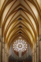 Fototapeta premium Cathedral in Toul