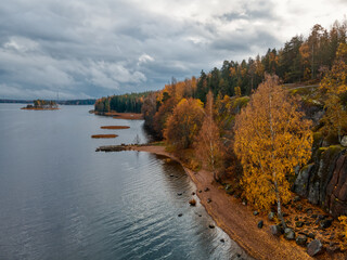 Aerial photo of autumnal landscape. Northern nature in autumn. Shore of the lake, trees with yellow and orange foliage, evergreen trees. Rainy weather, cloudy sky. Pure nature concept.