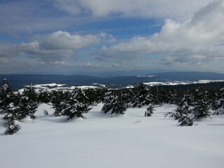 snowy mountainous landscape. The mountain is covered with snow, the forest is white and the sky is blue.